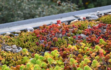 the cost of Beccles green roof installation