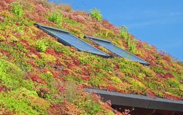 Beccles living roof systems